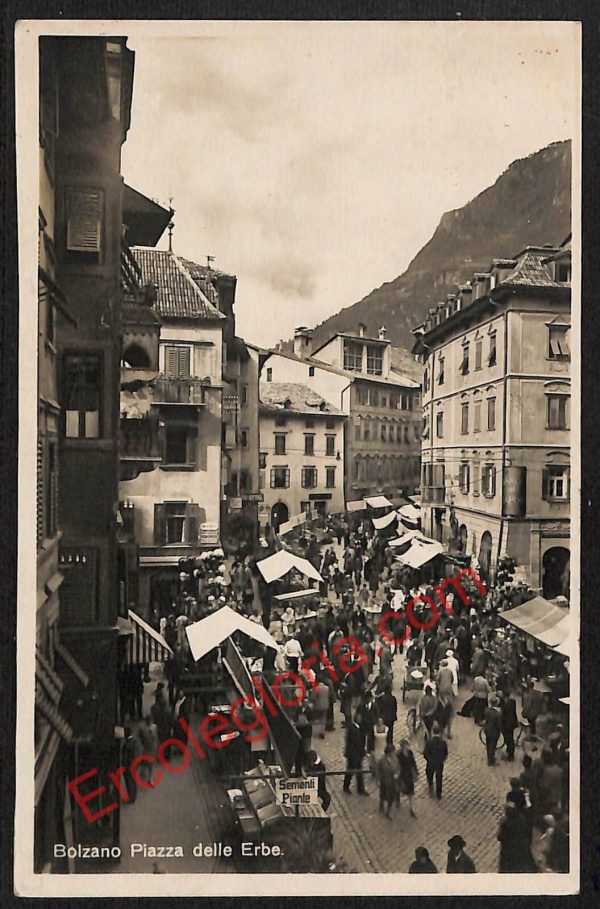 ae3659 - CARTOLINA  D'EPOCA - Bolzano Città - Piazza delle Erbe