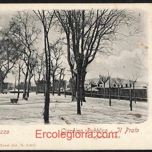 ae0070 - CARTOLINA  D'EPOCA - Arezzo  Città - Giardino Pubblico