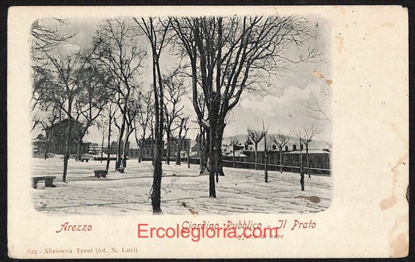 ae0070 - CARTOLINA  D'EPOCA - Arezzo  Città - Giardino Pubblico