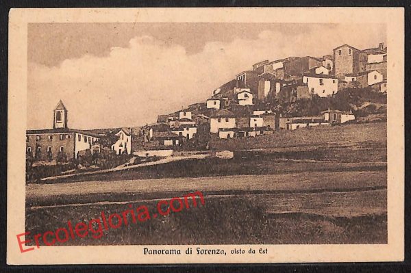 ah8964 - CARTOLINA D'EPOCA - Potenza Provincia - Forenza