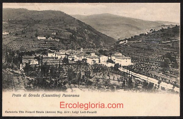 ae0265 - CARTOLINA  D'EPOCA - Arezzo Provincia - Casentino