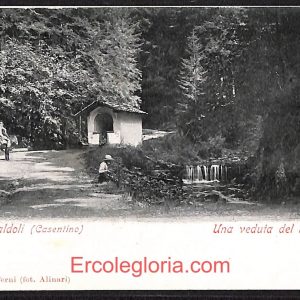 ae0275 - CARTOLINA  D'EPOCA - Arezzo Provincia - Camaldoli  1901