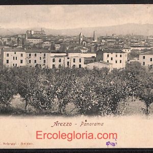 ae0089 - CARTOLINA  D'EPOCA - Arezzo  Città - Panorama