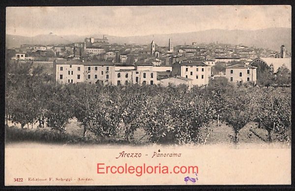 ae0089 - CARTOLINA  D'EPOCA - Arezzo  Città - Panorama