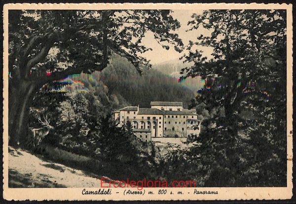 ae0278 - CARTOLINA  D'EPOCA - Arezzo Provincia - Camaldoli