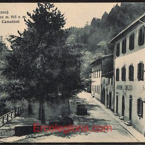 ae0281 - CARTOLINA  D'EPOCA - Arezzo Provincia - Camaldoli