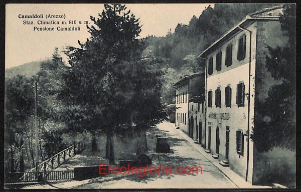 ae0281 - CARTOLINA  D'EPOCA - Arezzo Provincia - Camaldoli