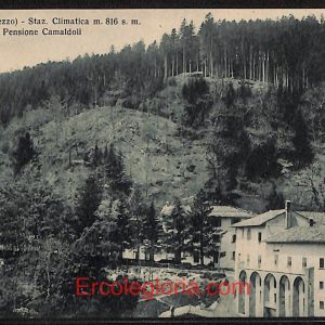 ae0282 - CARTOLINA  D'EPOCA - Arezzo Provincia - Camaldoli
