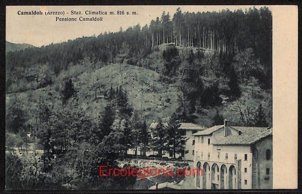 ae0282 - CARTOLINA  D'EPOCA - Arezzo Provincia - Camaldoli
