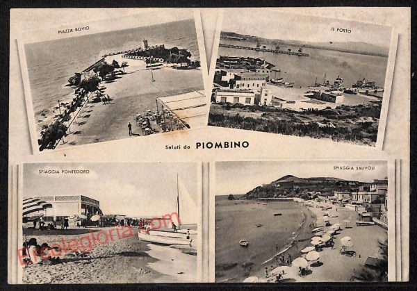 ag2493 - CARTOLINA D'EPOCA - Grosseto Provincia - Piombino