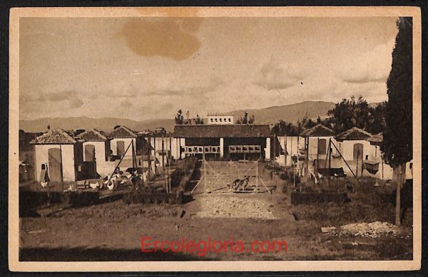 ae0298 - CARTOLINA  D'EPOCA - Arezzo Provincia - Capezzine  1951