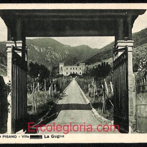 ad6754 - CARTOLINA D'EPOCA - Pisa Provincia - Asciano