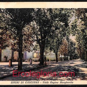 ad6771 - CARTOLINA D'EPOCA - Pisa Provincia - CASCIANA  1932