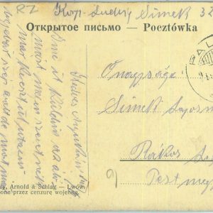 83931 - POLAND - POSTAL HISTORY -  POSTCARD from Przemyśl with PALONA postmark