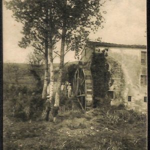 ad6808 - CARTOLINA D'EPOCA - Pisa Provincia - CASCIANA  1914