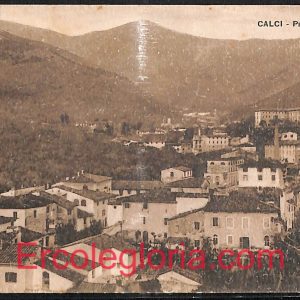ad6858 - CARTOLINA D'EPOCA - Pisa Provincia - CALCI   1929