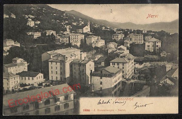 ag1315 - CARTOLINA D'EPOCA - Genova Provincia - Nervi