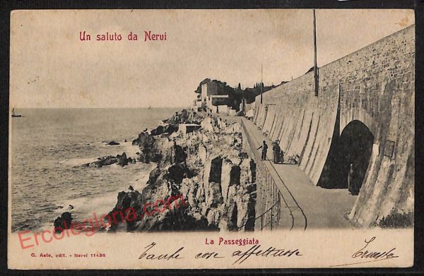 ag1316 - CARTOLINA D'EPOCA - Genova Provincia - Nervi