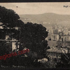 ag1325 - CARTOLINA D'EPOCA - Genova Provincia - Pegli