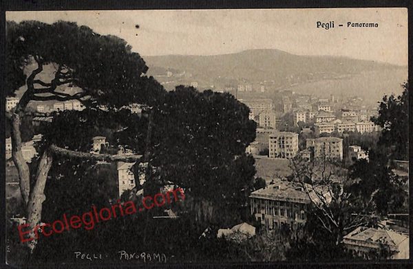 ag1325 - CARTOLINA D'EPOCA - Genova Provincia - Pegli