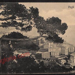 ag1332 - CARTOLINA D'EPOCA - Genova Provincia - Pegli  1910