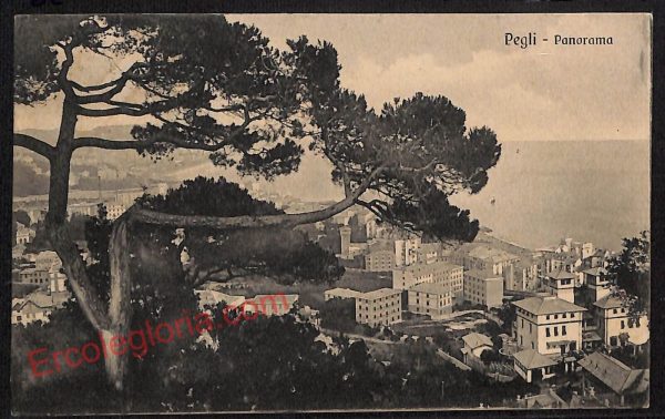 ag1332 - CARTOLINA D'EPOCA - Genova Provincia - Pegli  1910