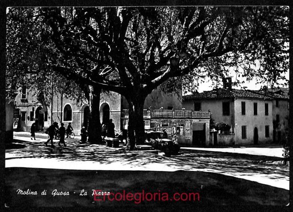 ad7008 - CARTOLINA D'EPOCA - Pisa Provincia - Molina di Quosa