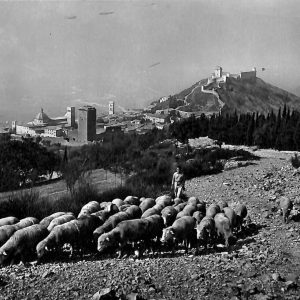 ac2576  - CARTOLINA  D'EPOCA - Perugia Provincia - ASSISSI