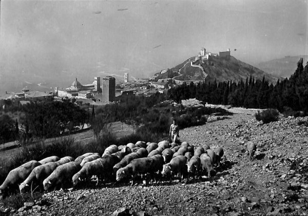 ac2576  - CARTOLINA  D'EPOCA - Perugia Provincia - ASSISSI