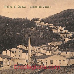 ad7009 - CARTOLINA D'EPOCA - Pisa Provincia - Molina di Quosa
