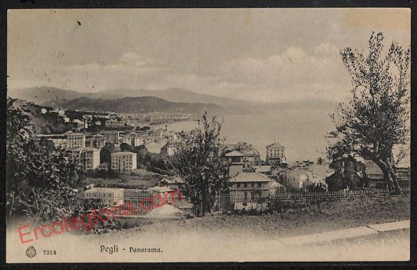 ag1339 - CARTOLINA D'EPOCA - Genova Provincia - Pegli