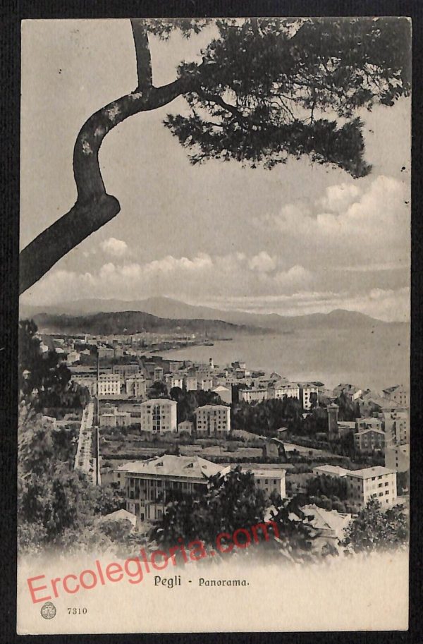 ag1340 - CARTOLINA D'EPOCA - Genova Provincia - Pegli