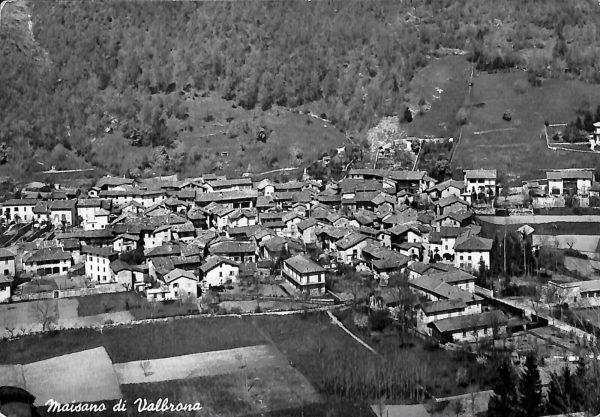 ab6426 - CARTOLINA  D'EPOCA - Como Provincia : MAISANO DI VALBRONA 1950