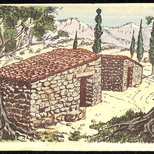 ac2579  - CARTOLINA  D'EPOCA - Perugia Provincia - ASSISSI