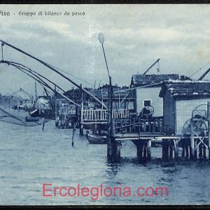 ad6953 - CARTOLINA D'EPOCA - Pisa Provincia - Marina di Pisa