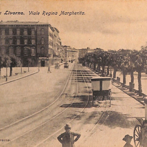 ac7337 - CARTOLINA D'EPOCA - Livorno Città - Viale Regina Margherita