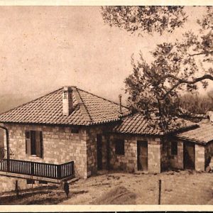 ac2604 - CARTOLINA  D'EPOCA - Perugia Provincia - ASSISSI