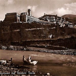 ac2607 - CARTOLINA  D'EPOCA - Perugia Provincia - ASSISSI   1953
