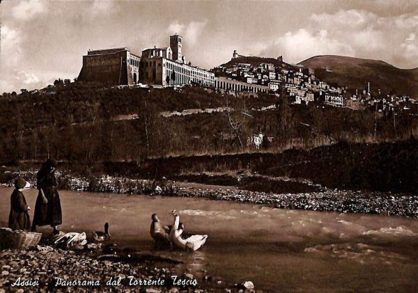 ac2607 - CARTOLINA  D'EPOCA - Perugia Provincia - ASSISSI   1953