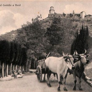 ac2636 - CARTOLINA  D'EPOCA - Perugia Provincia - ASSISSI