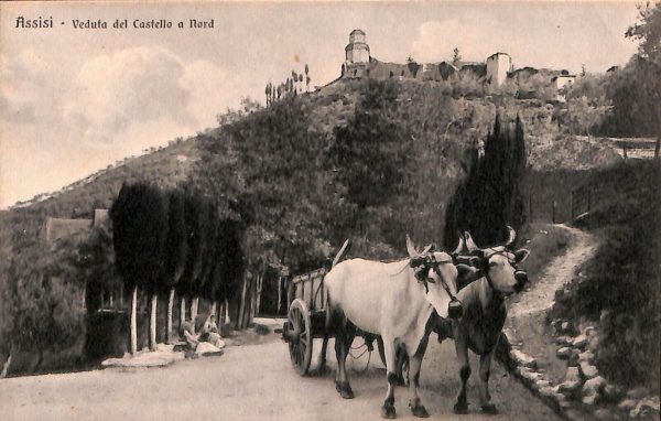 ac2636 - CARTOLINA  D'EPOCA - Perugia Provincia - ASSISSI