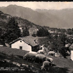 ab6480 - CARTOLINA  D'EPOCA - Como Provincia : RAMPONIO