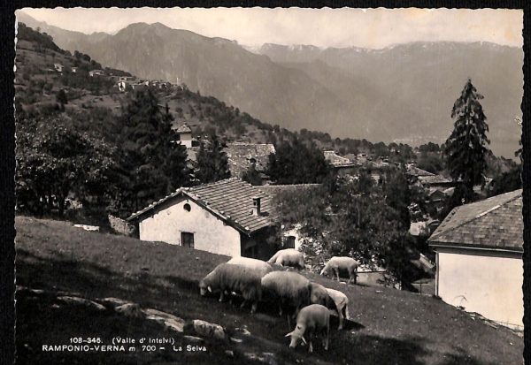 ab6480 - CARTOLINA  D'EPOCA - Como Provincia : RAMPONIO