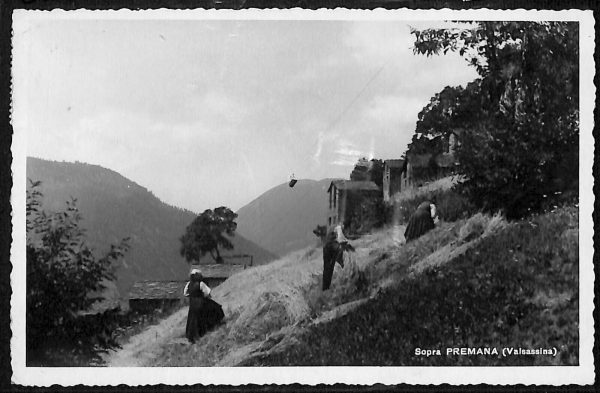 ab6486 - CARTOLINA  D'EPOCA - Como Provincia : PREMANA 1942