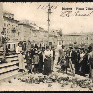 ac7351 - CARTOLINA D'EPOCA - Livorno Città - Piazza Vittorio Emanuele  1916