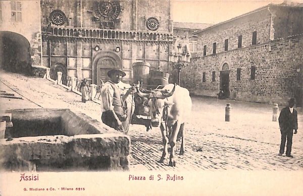 ac2633 - CARTOLINA  D'EPOCA - Perugia Provincia - ASSISSI