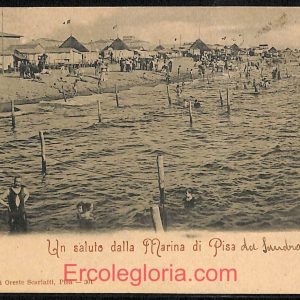 ad6956 - CARTOLINA D'EPOCA - Pisa Provincia - Marina di Pisa