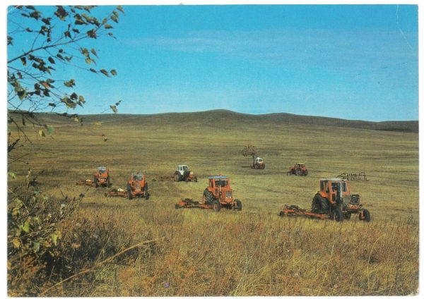 ZA0419 - MONGOLIA - Postal History - POSTCARD - FAUNA - immagine 2