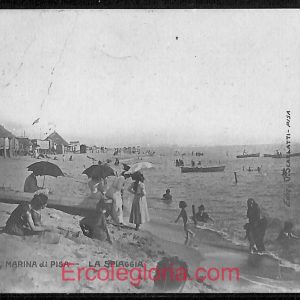 ad6957 - CARTOLINA D'EPOCA - Pisa Provincia - Marina di Pisa
