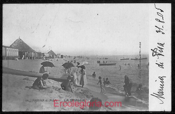 ad6957 - CARTOLINA D'EPOCA - Pisa Provincia - Marina di Pisa
